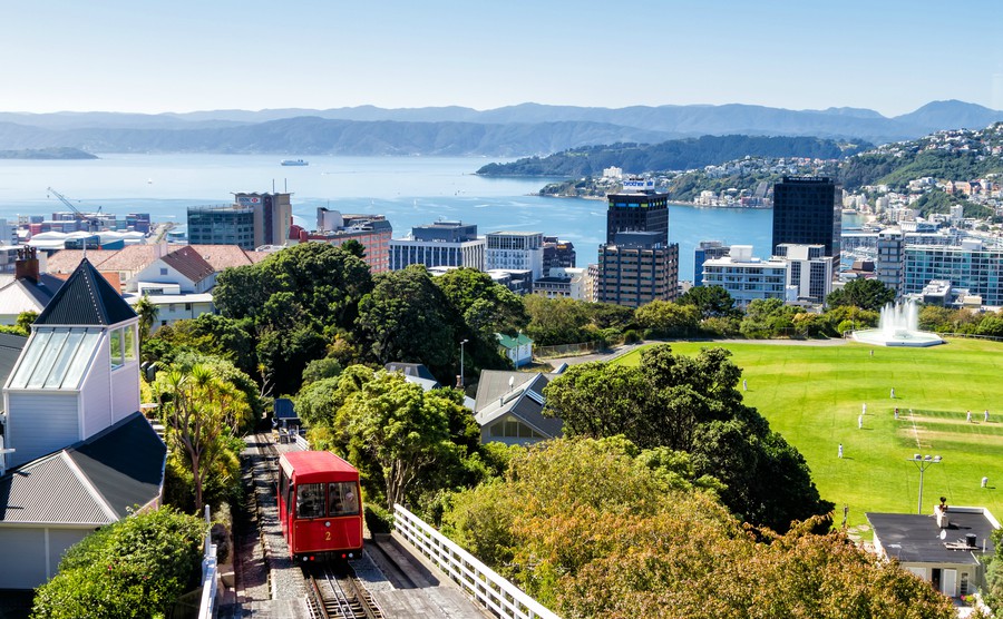 New Zealand Universities